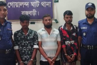 ৩ হাজার ৪০০ টাকায় বড় ভাইকে হত্যার চুক্তি, ছোট ভাইসহ গ্রেপ্তার ৩