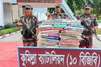 কুমিল্লা সীমান্তে বিজিবির পৃথক অভিযানে প্রায় ৯৩ লাখ টাকার ভারতীয় পণ্য জব্দ