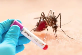 ডেঙ্গুতে একদিনে আরও ২ জনের মৃত্যু, হাসপাতালে নতুন ৭২৩ রোগী