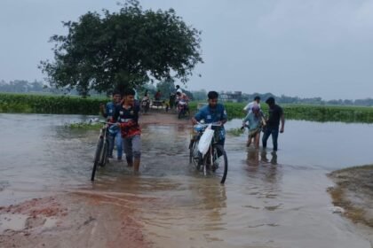 হাজারো মানুষের চলাচলের সড়ক বেহাল, দুর্ভোগে স্থানীয়রা