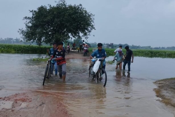 হাজারো মানুষের চলাচলের সড়ক বেহাল, দুর্ভোগে স্থানীয়রা