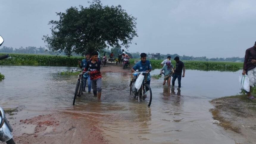হাজারো মানুষের চলাচলের সড়ক বেহাল, দুর্ভোগে স্থানীয়রা