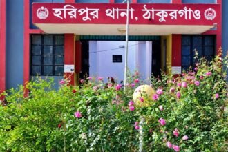 হরিপুরে বৈদ্যুতিক আগুনে পুড়ে ছাই সাত পরিবারের ঘরবাড়ি