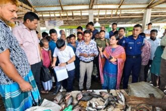 নীলফামারীতে নিষিদ্ধ পিরানহা বিক্রি, তিন ব্যবসায়ীকে জরিমানা
