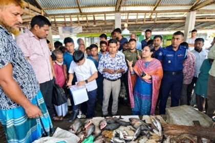 নীলফামারীতে নিষিদ্ধ পিরানহা বিক্রি, তিন ব্যবসায়ীকে জরিমানা