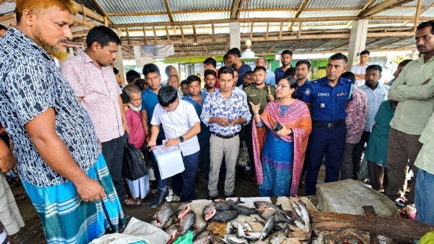 নীলফামারীতে নিষিদ্ধ পিরানহা বিক্রি, তিন ব্যবসায়ীকে জরিমানা