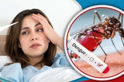 ডেঙ্গু না ভাইরাল জ্বর, বুঝবেন যেভাবে