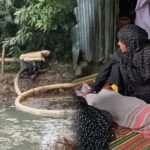 ঠাকুরগাঁওয়ে ড্রেজারে খনন করা পুকুরে ডুবে ৫ বছরের শিশুর মৃত্যু