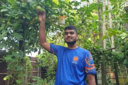 কক্সবাজার থেকে রুহিয়া: প্যাশন ফ্রুট চাষে নতুন সম্ভাবনা জাগালেন সেনাসদস্য রিমুন