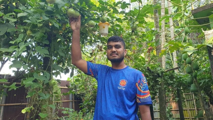 কক্সবাজার থেকে রুহিয়া: প্যাশন ফ্রুট চাষে নতুন সম্ভাবনা জাগালেন সেনাসদস্য রিমুন