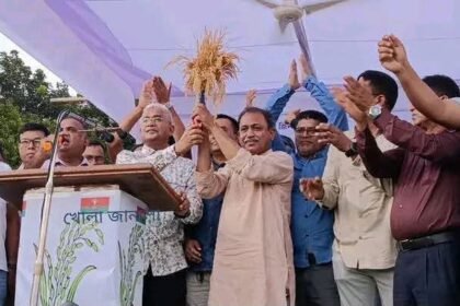 ভূল্লী উপজেলায় বিএনপির ধানের শীষের নির্বাচনী জনসভায় হাজারো মানুষের জনসমুদ্র সৃষ্টি হয়েছে