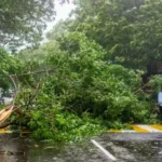 মধ্যরাতে অন্ধ্রপ্রদেশে ঘূর্ণিঝড় ‘অর্ণব’-এর আঘাত