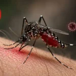 একদিনে ডেঙ্গুতে আরও ৬ জনের মৃত্যু, হাসপাতালে ভর্তি ১৮৮৬
