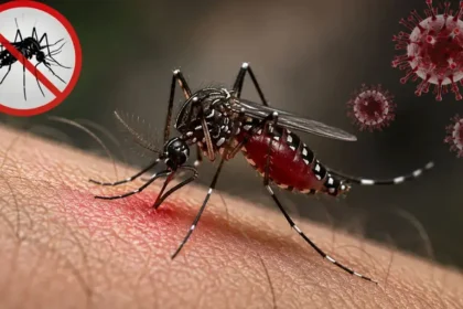 একদিনে ডেঙ্গুতে আরও ৬ জনের মৃত্যু, হাসপাতালে ভর্তি ১৮৮৬