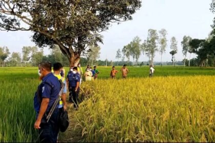 ধানক্ষেত থেকে নিখোঁজ কিশোরের অর্ধগলিত মরদেহ উদ্ধার