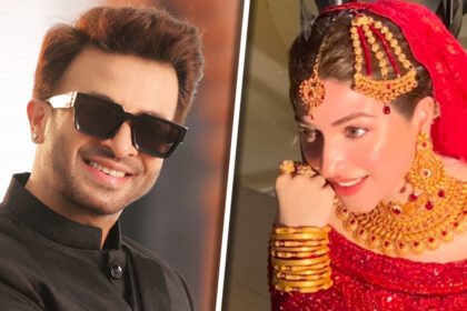 শাকিব খানের নায়িকা হচ্ছেন কি পাকিস্তানি অভিনেত্রী কিনজা হাশমি?