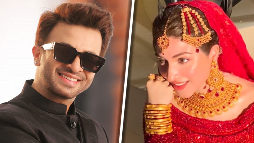 শাকিব খানের নায়িকা হচ্ছেন কি পাকিস্তানি অভিনেত্রী কিনজা হাশমি?